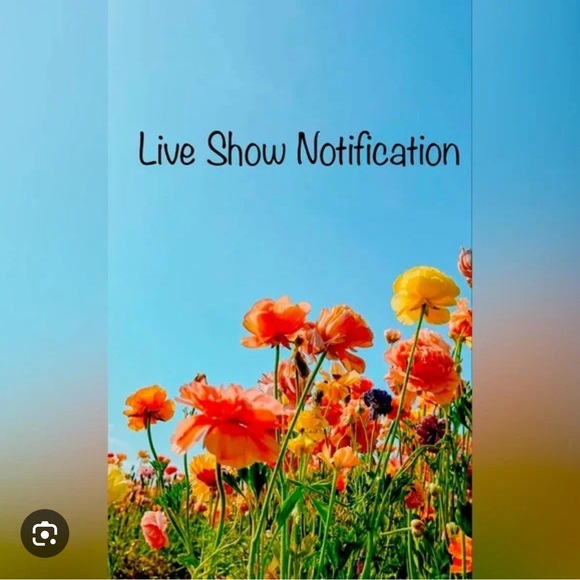 Dresses & Skirts - LIKE THIS LISTING TO BE NOTIFIED OF MY FUTURE SHOWS